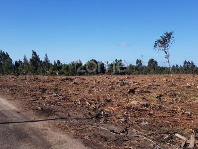 Terreno, Beduído