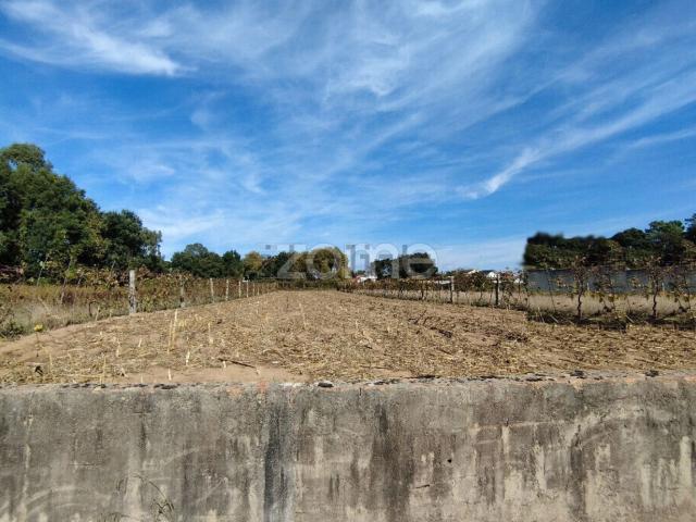 Terreno, Beduído