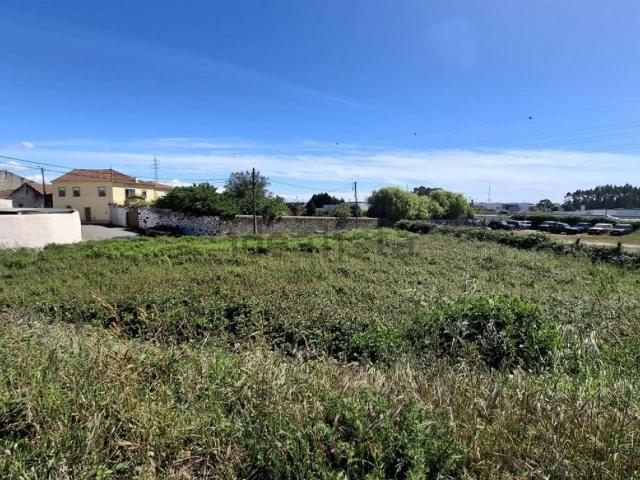 Terreno, Beiriz