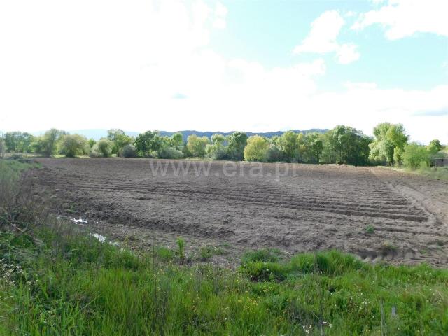 Terreno / Belmonte, Carvalhal Formoso