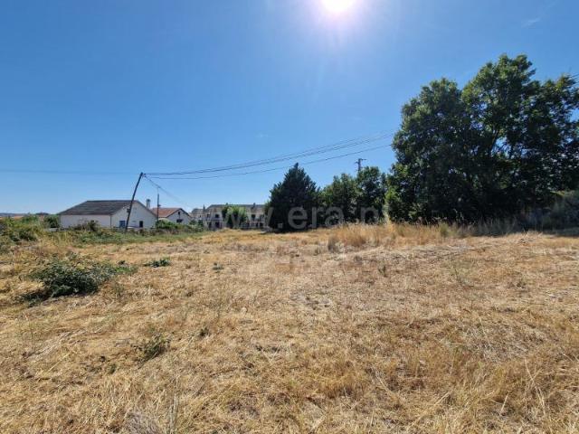 Terreno, Belmonte e Colmeal Da Torre, Belmonte | BPI Expresso Imobiliário