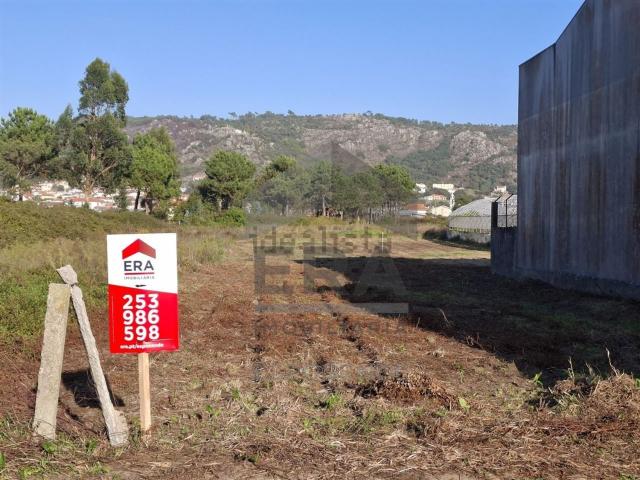 Terreno, Belinho