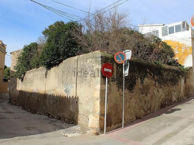 Terreno, Bellvei