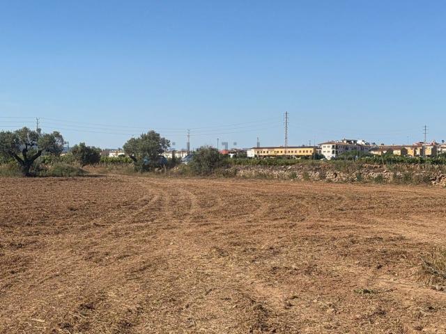 Terreno, Bellvei