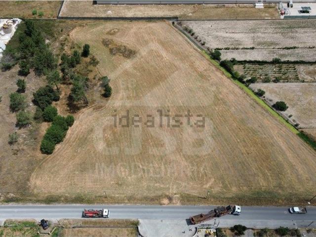 Terreno, Benavente
