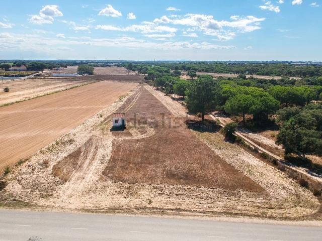 Terreno, Benavente