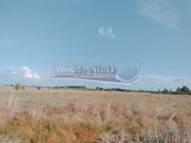 Terreno, Benavente