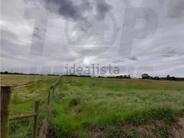 Terreno, Benavente