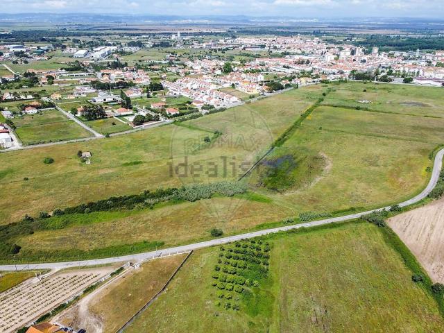 Terreno, Benavente