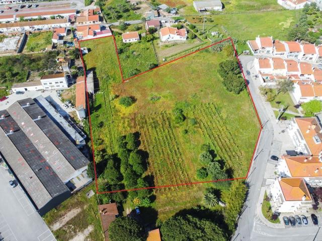 Terreno, Benavente