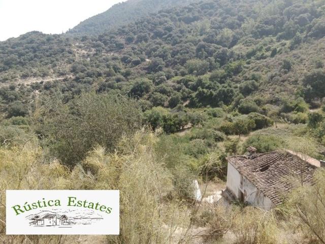 Terreno, Benadalid