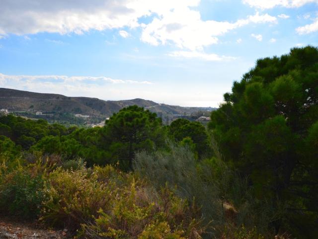 Terreno, Benahavís