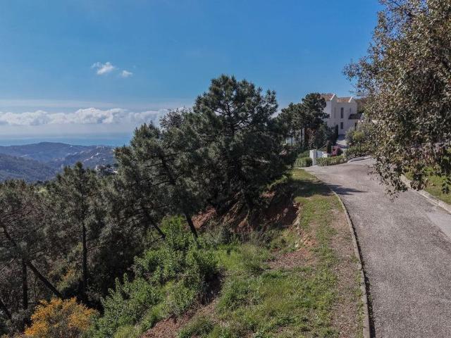 Terreno, Benahavís