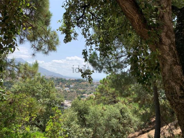 Terreno, Benahavís