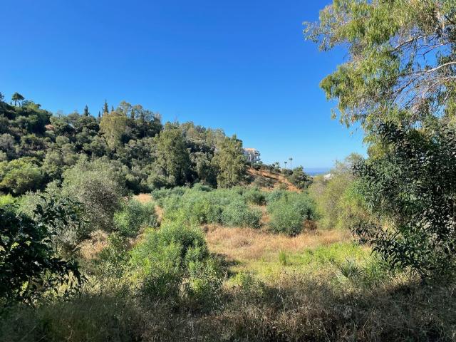 Terreno, Benahavís