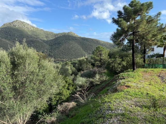 Terreno, Benahavís