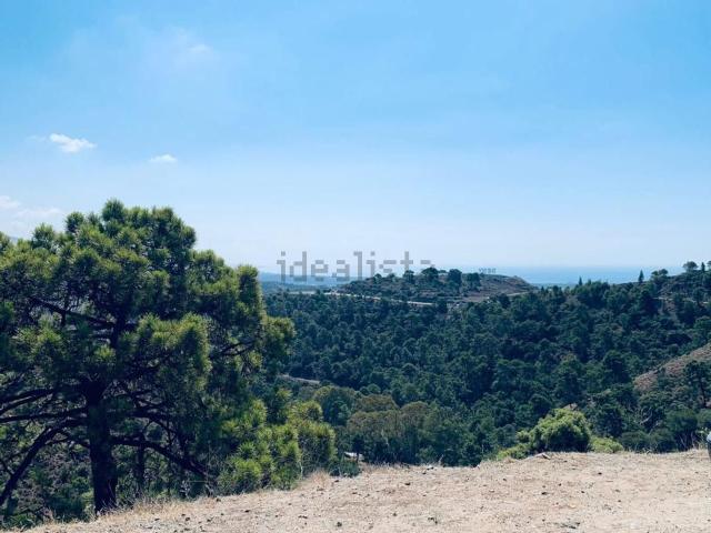 Terreno, Benahavís