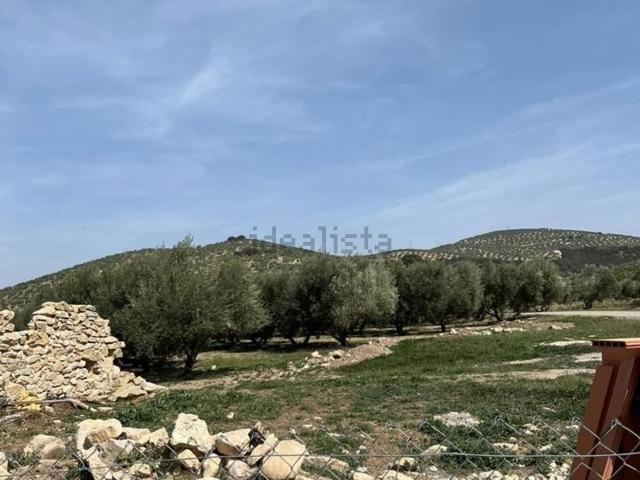 Terreno, Benalua de las Villas