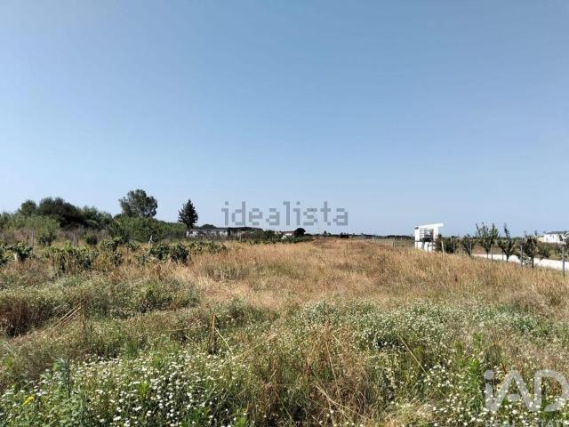 Terreno, Benfica do Ribatejo