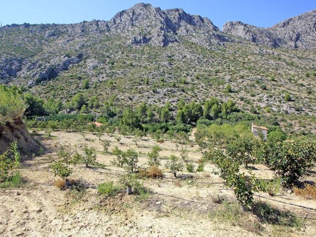 Terreno, Beniarbeig
