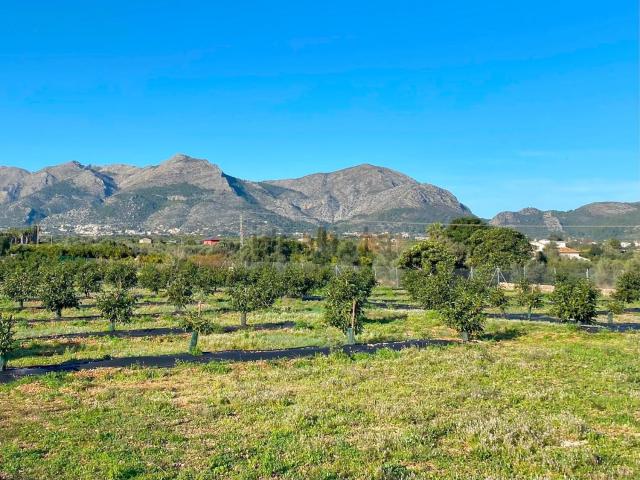 Terreno, Beniarbeig