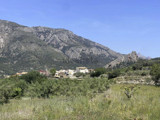 Terreno, Beniarda
