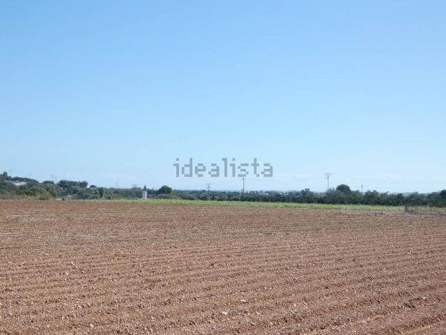 Terreno, Benicarló