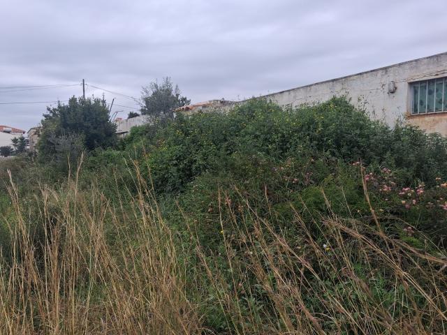 Terreno, Benicarló