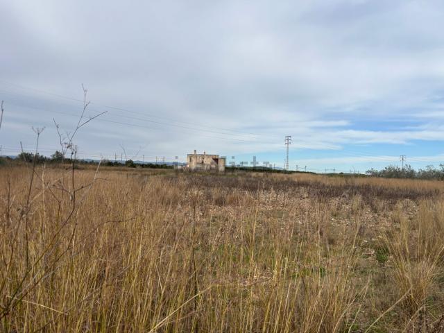 Terreno, Benicarló