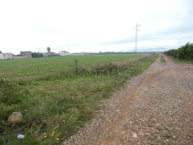 Terreno, Benicarló