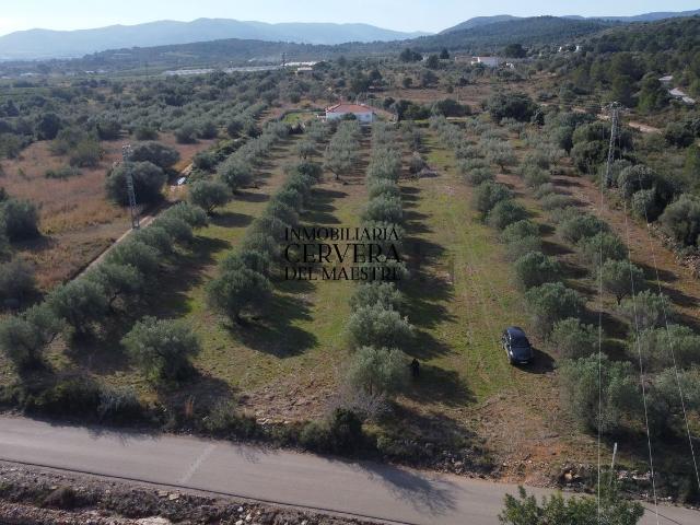 Terreno, Benicarló