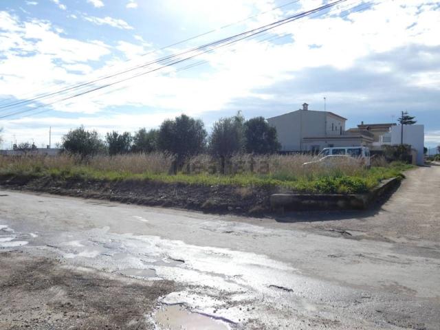 Terreno, Benicarló