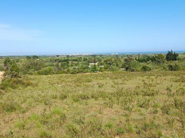 Terreno, Benicarló