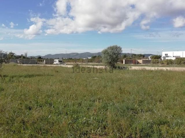 Terreno, Benicarló