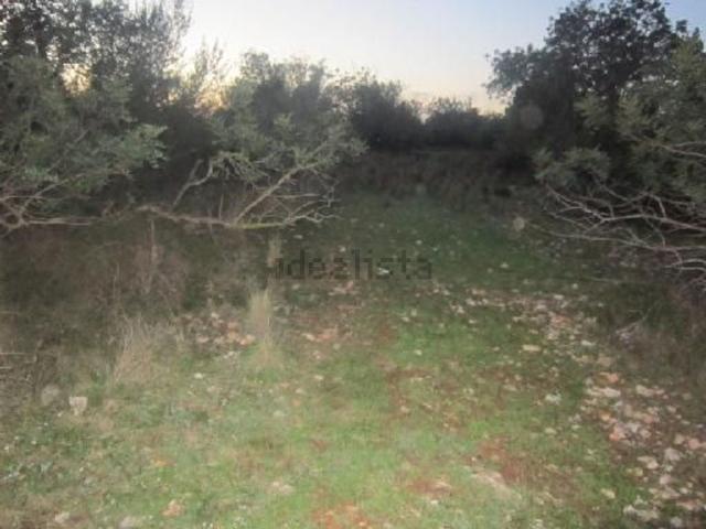 Terreno, Benicarló