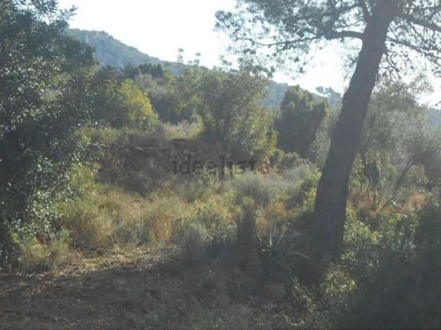 Terreno, Benicasim/Benicàssim