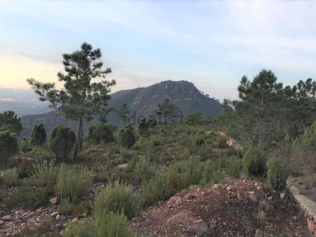 Terreno, Benicasim/Benicàssim