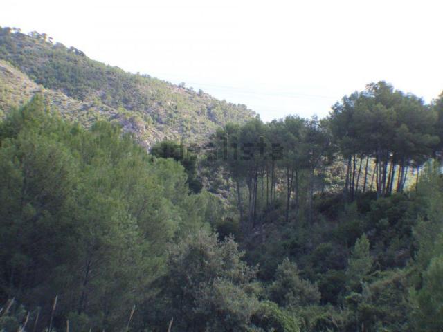 Terreno, Benicasim/Benicàssim