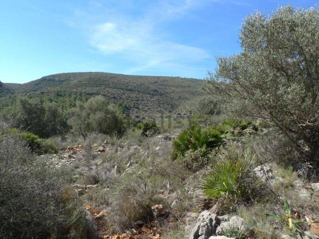 Terreno, Benichembla