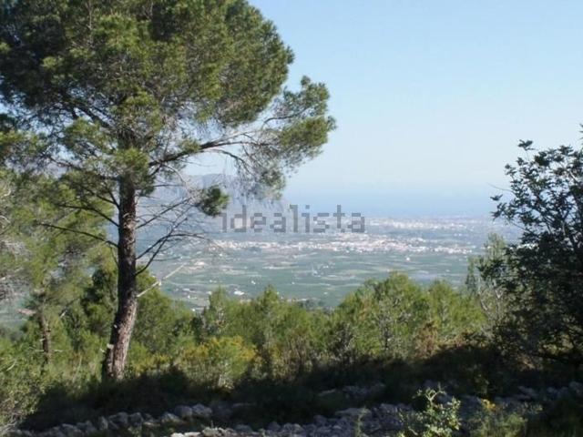 Terreno, Benidoleig