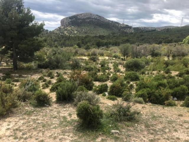 Terreno, Benidorm