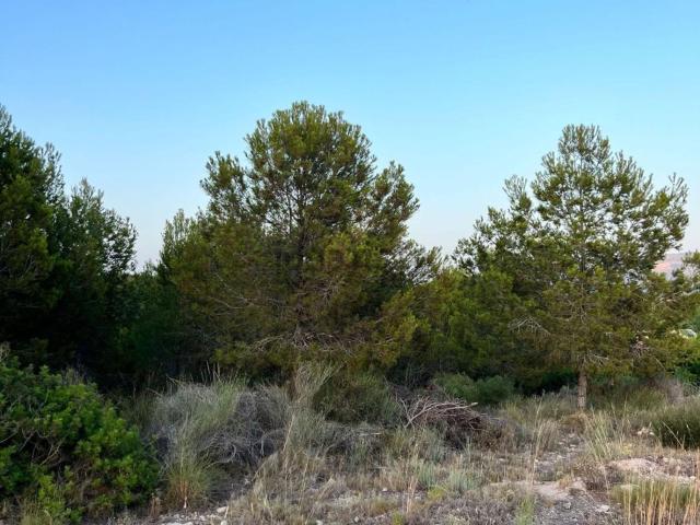 Terreno, Benidorm