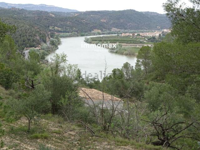 Terreno, Benifallet