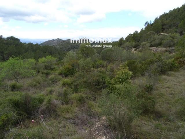 Terreno, Benifallet