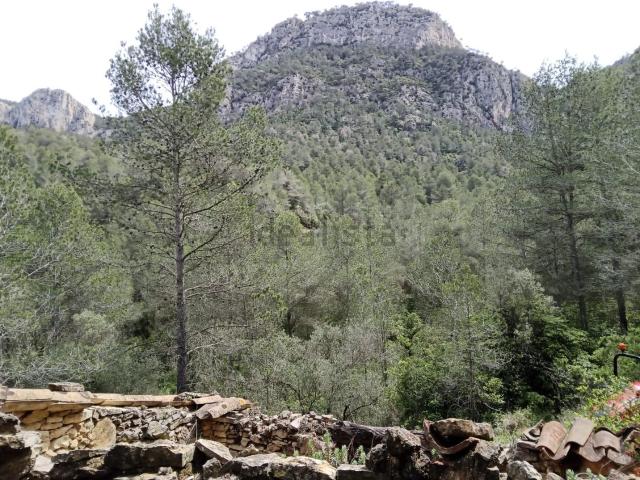 Terreno, Benifallet