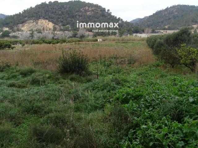 Terreno, Benifallet