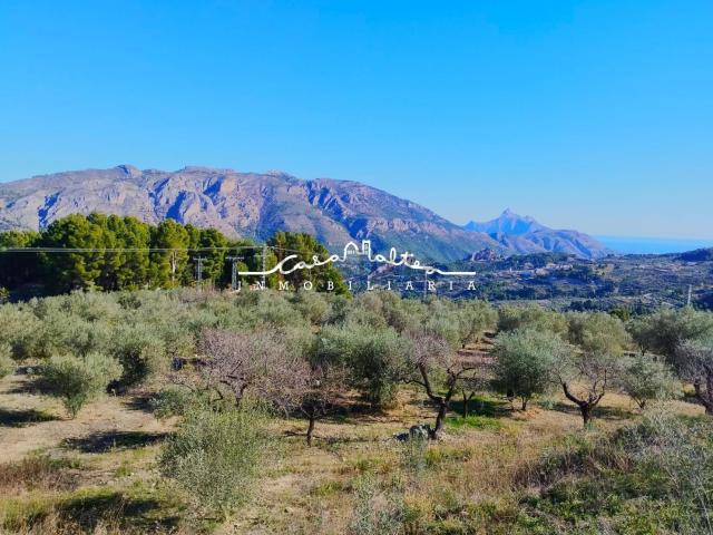 Terreno, Benifato