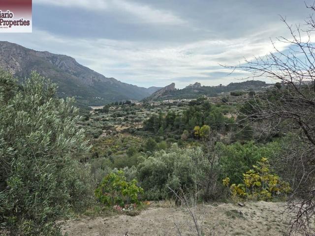 Terreno, Benifato