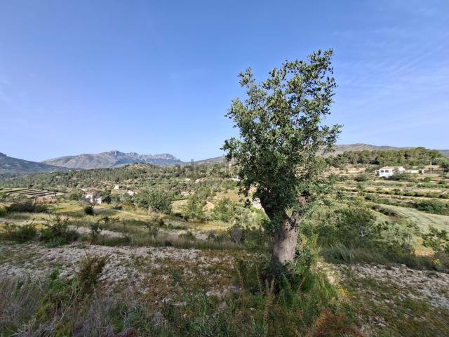 Terreno, Benissa