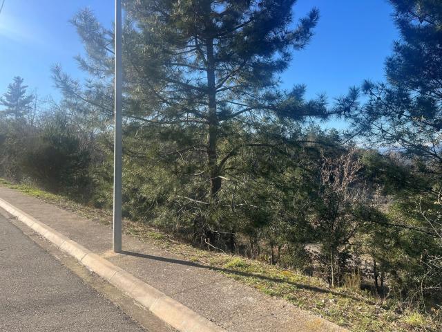 Terreno, Bescanó